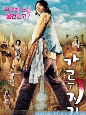 法医密档